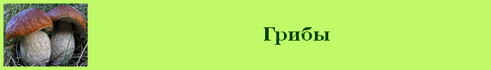 Грибы калорийность