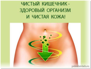 Чистый кишечник