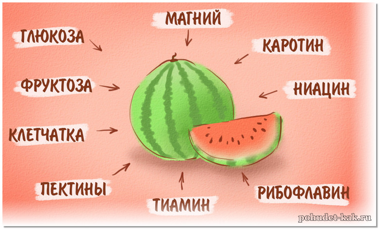 Польза арбуза для организма