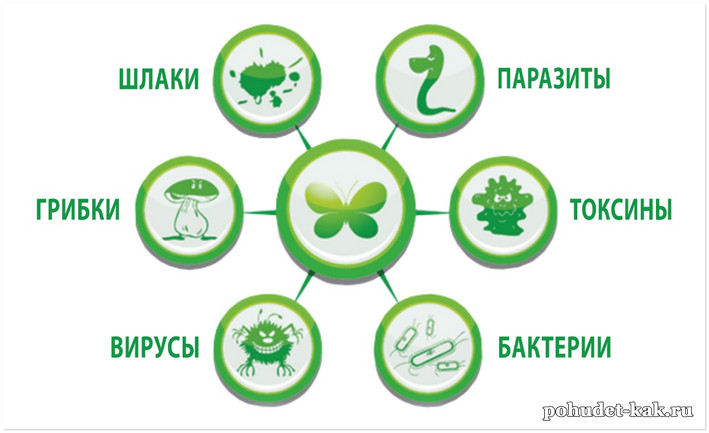 Комплексное очищение организма