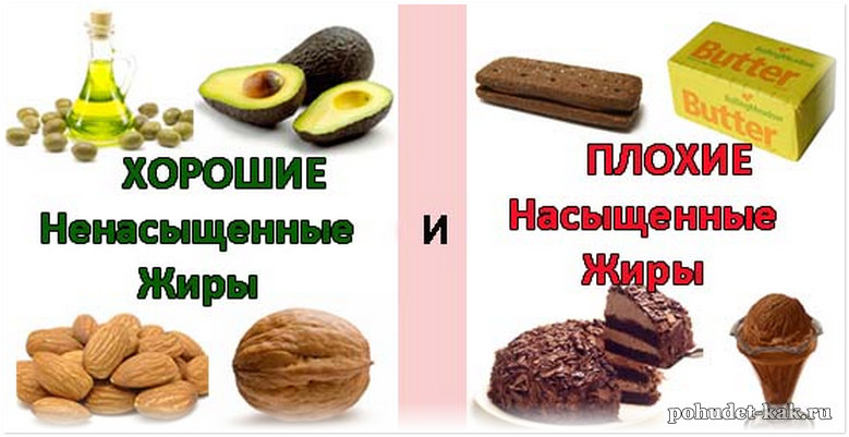 жиры полезные и вредные